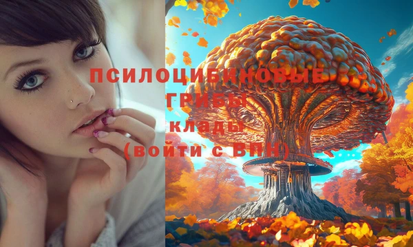 СК Армянск