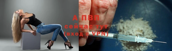 спайс Арсеньев