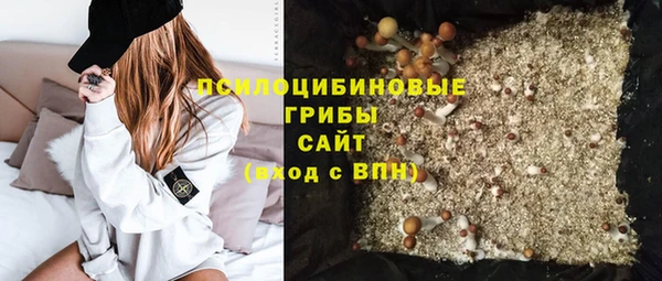 мет Аркадак