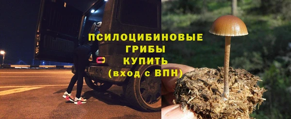 мет Аркадак